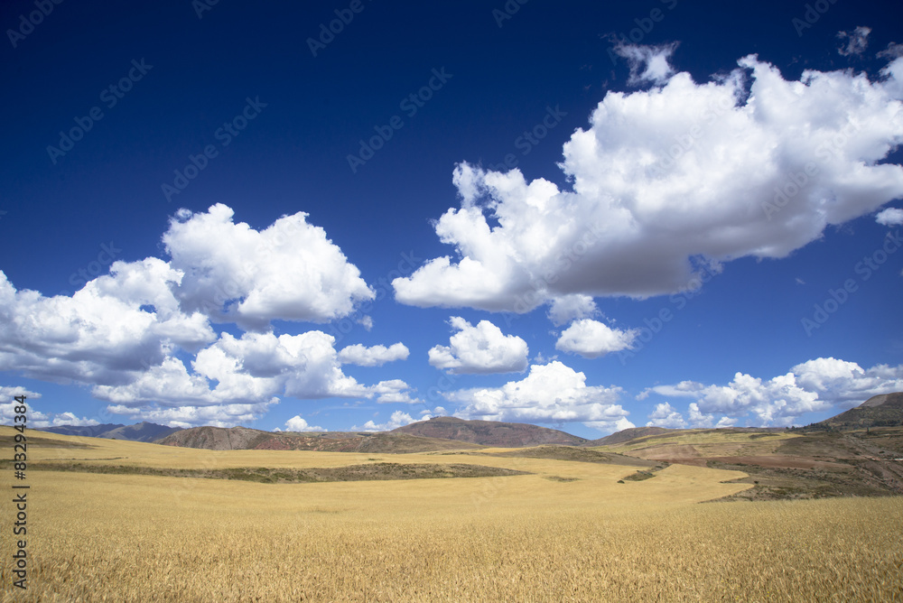 聖なる谷の草原と雲
