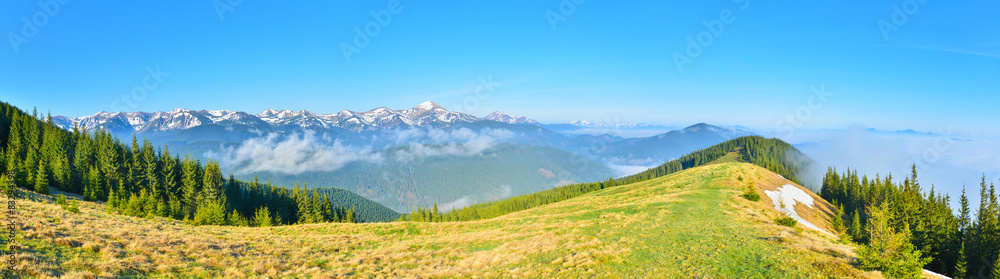Fototapeta premium Panoramic view of spring meadow and mountains with snow