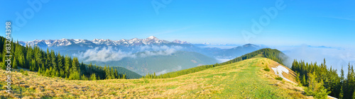 Panoramic view of spring meadow and mountains with snow