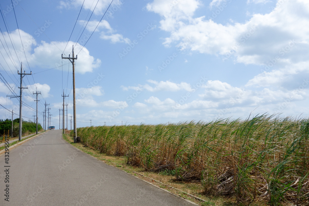 沖縄県　小浜島の風景
