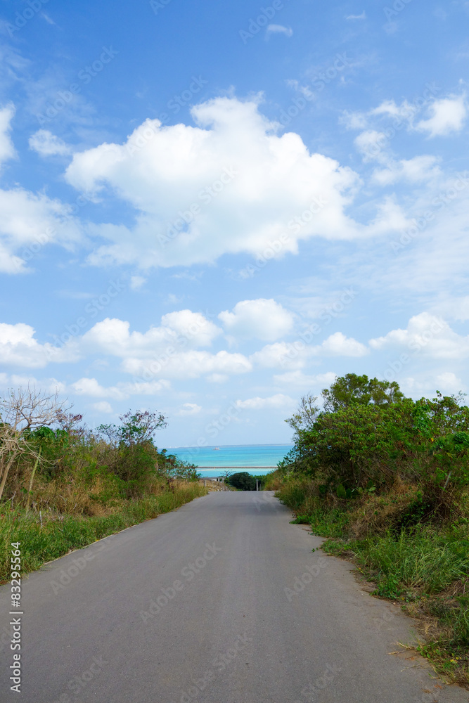 Fototapeta premium 沖縄県 小浜島の風景