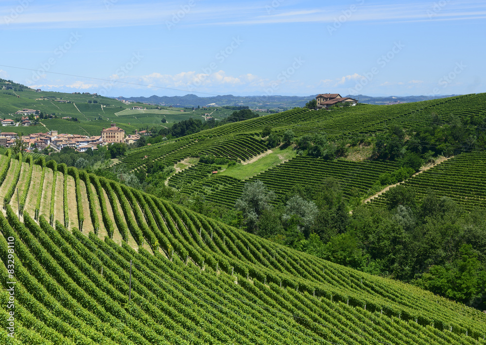 Summer landscape in Langhe (Italy) Summer landscape in Langhe (Italy)