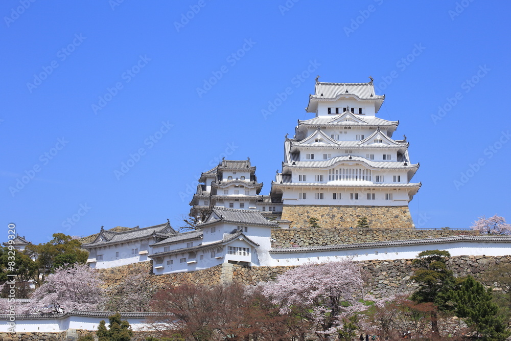 Himeji Castle and cherry blossom Himeji Castle and cherry blossom