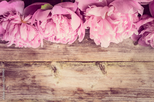 Fototapeta Naklejka Na Ścianę i Meble -  Pastel peonies