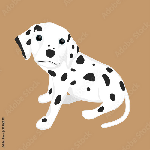Dalmatian