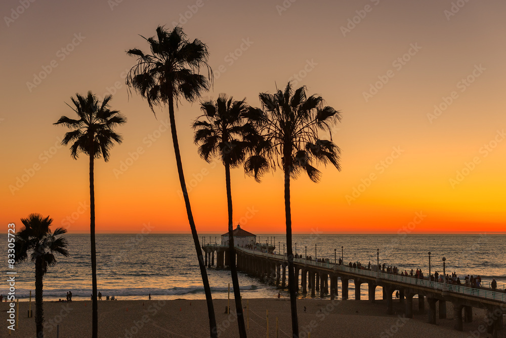 The Palm trees in Manhattan Beach and Pier at sunset in Los Angeles, California