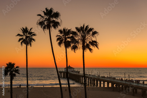 The Palm trees in Manhattan Beach and Pier at sunset in Los Angeles  California