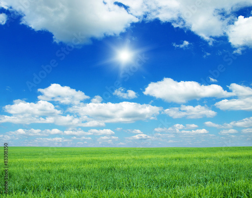 Green field, blue sky and sun