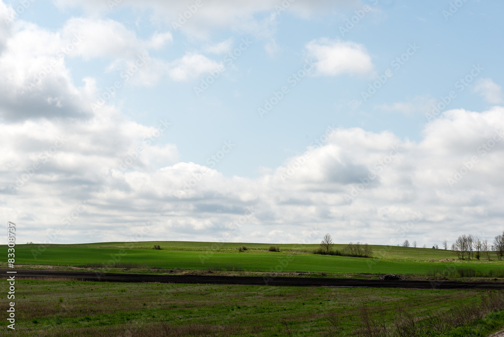 countryside fields in early spring