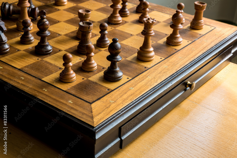 Playing Chess Playing Chess