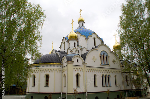 Orthodox Monastery of the Holy -Elisavetinsky photo