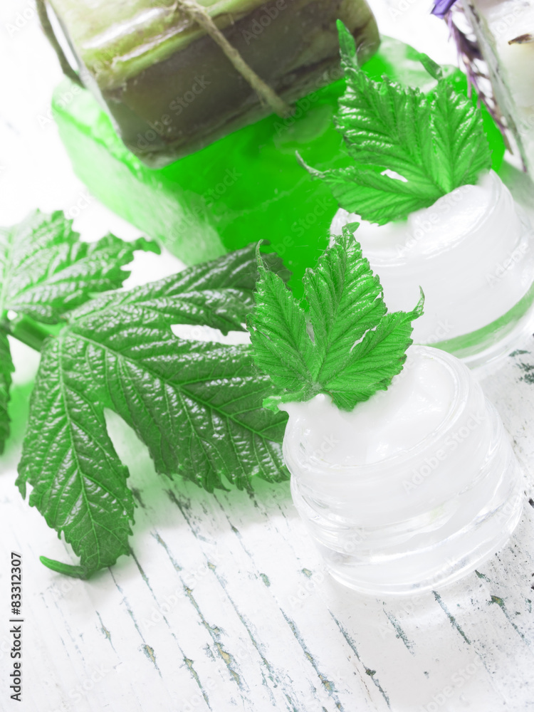 organic cosmetics, facial cream fresh as green leaves organic cosmetics, facial cream fresh as green leaves
