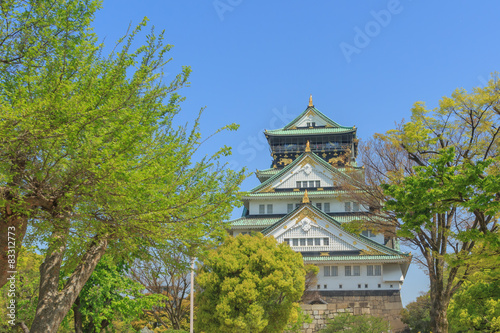 Himeji Castle osaka  japan