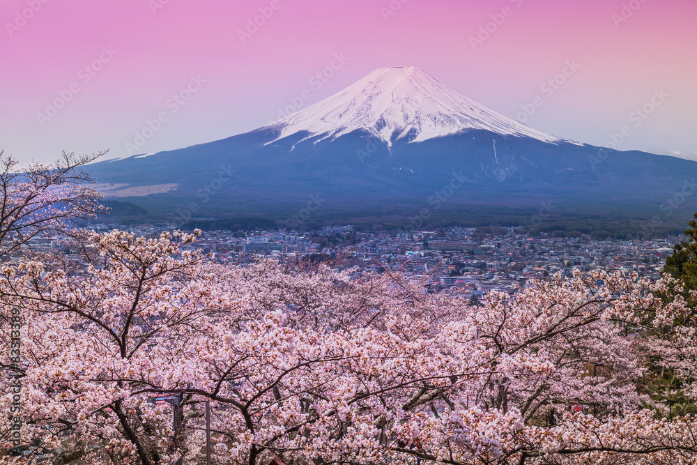 Fototapeta premium Mountain Fuji in spring ,Cherry blossom Sakura