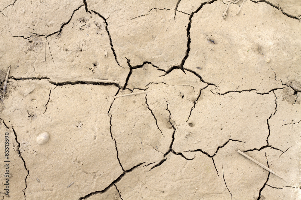 Fototapeta premium Dry cracked earth texture