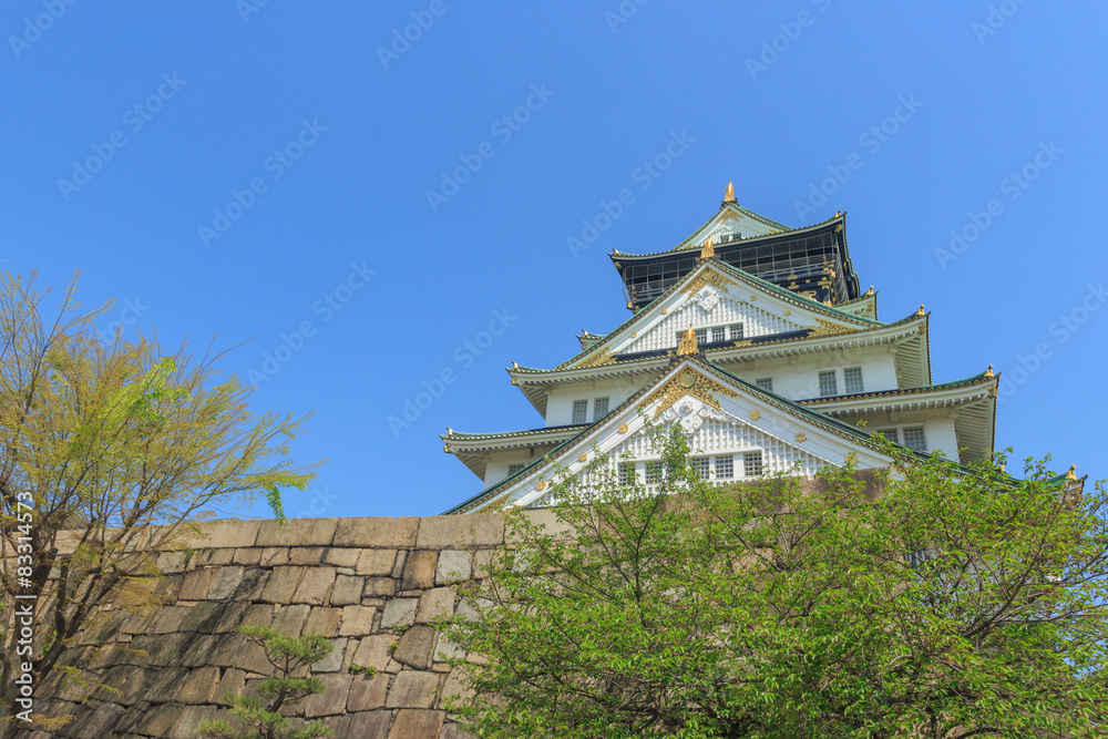Fototapeta premium Himeji Castle, japan
