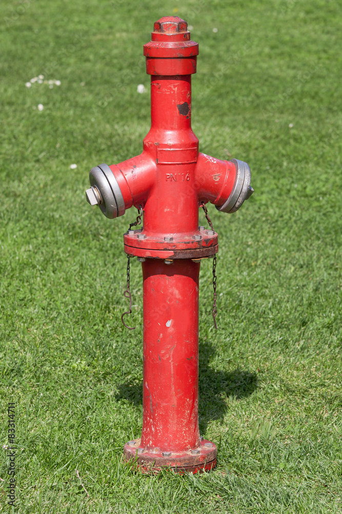 Fire hydrant on the background of green grass in the park Fire hydrant on the background of green grass in the park