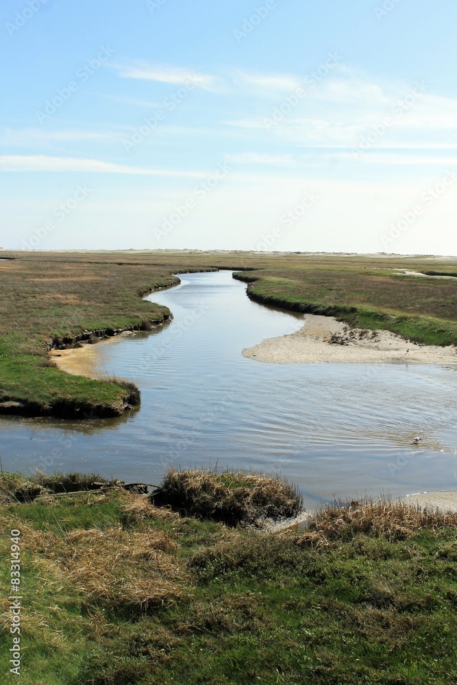 Die Salzwiesen vor St. Peter-Ording.