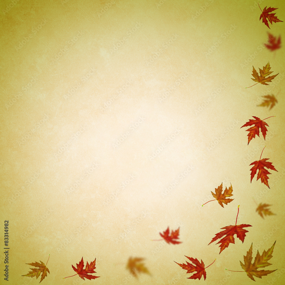 autumn background