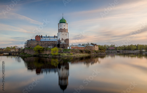 Viborg Medieval castle