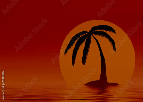 Island with palm