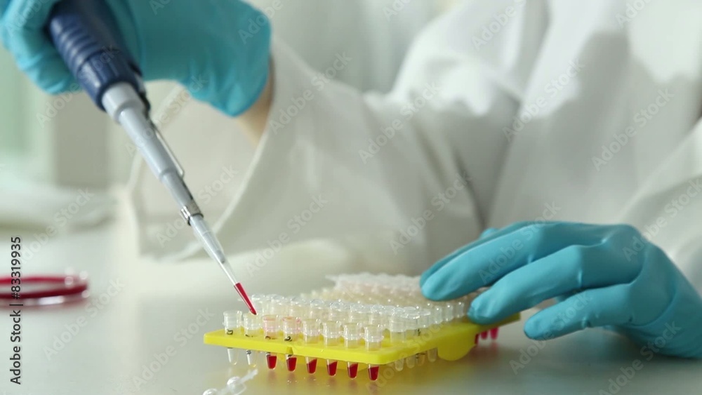 DNA analysis of samples in criminological laboratory DNA analysis of samples in criminological laboratory