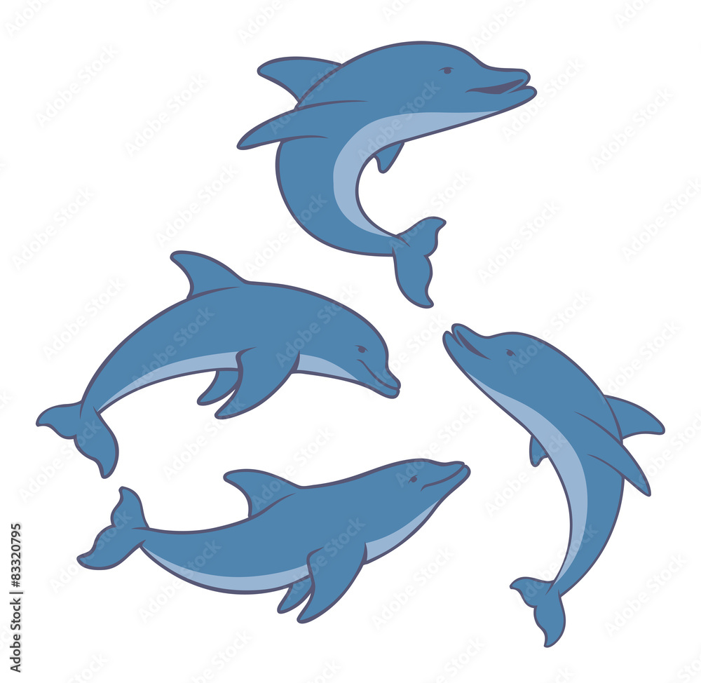 Obraz premium dolphin