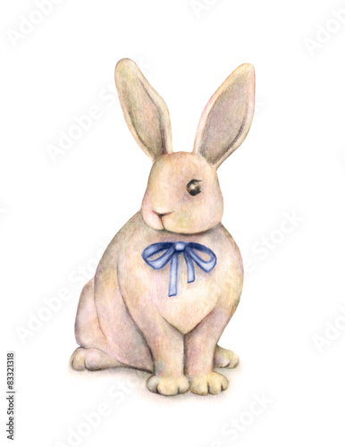 Rabbit with a blue bow is isolated on a white background © MargaritaSh