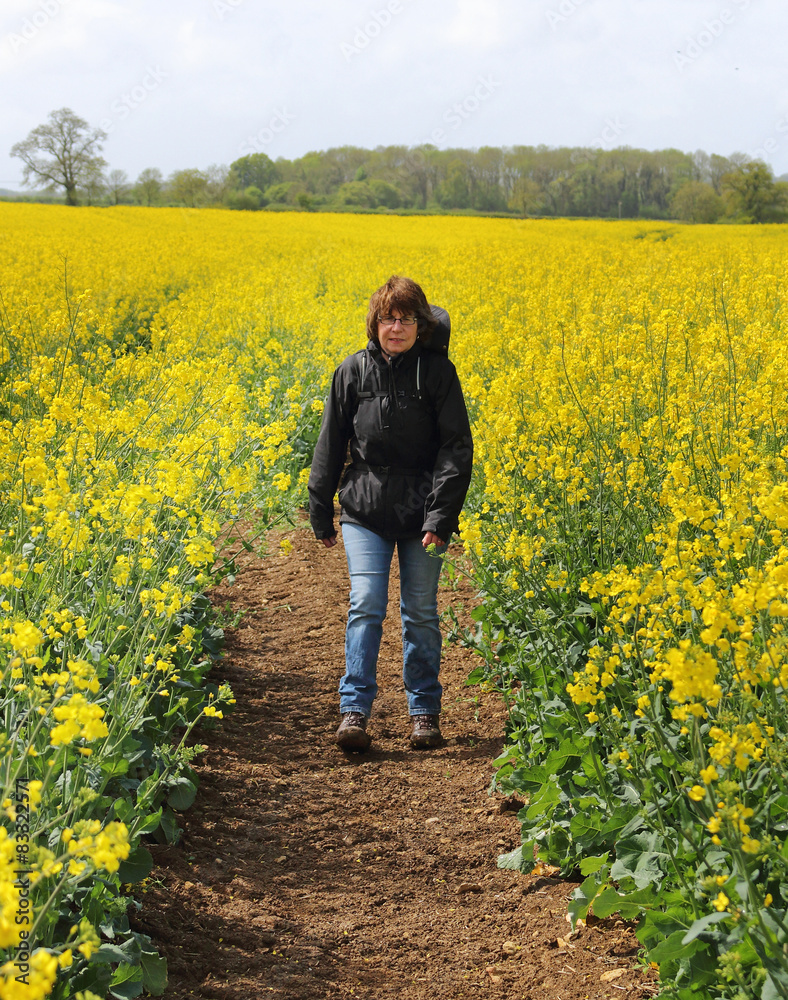 Lady walking between Fields of Yellow Rapeseed