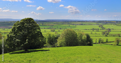 Fototapeta An English Rural Landscape in Somerset