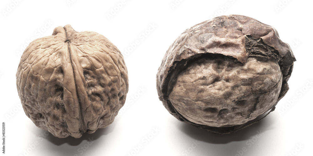 Walnuts Isolated on White Background