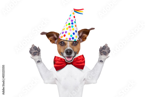 happy birthday dog © Javier brosch