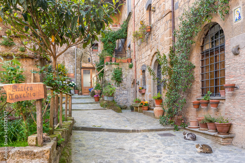 Alley in old town Tuscany Italy © FotoDruk.pl