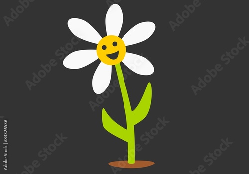 Smiling daisy on gray background