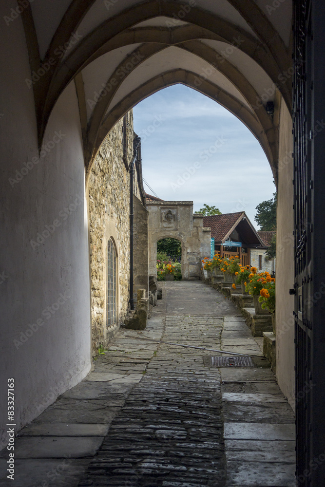 Fototapeta premium Footpath to Glastonbury Abbey