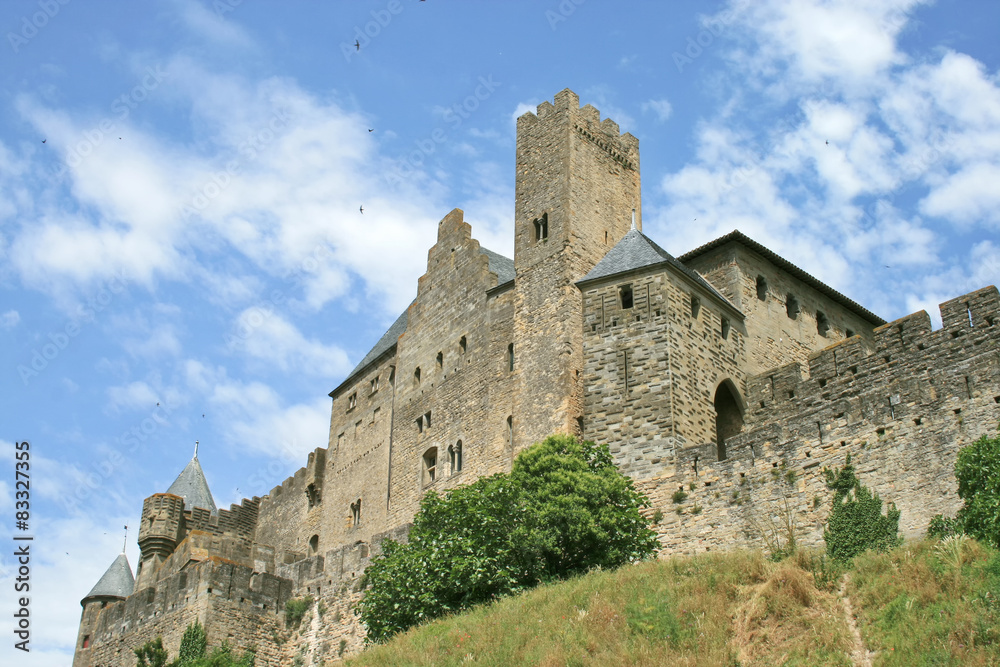 la Cité de Carcassonne