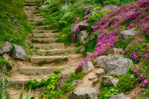 Obraz na plátne Stairway in botanic garden