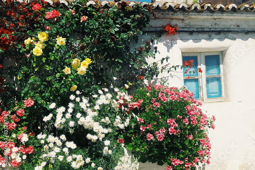 Flowers in facade of Portuguese house