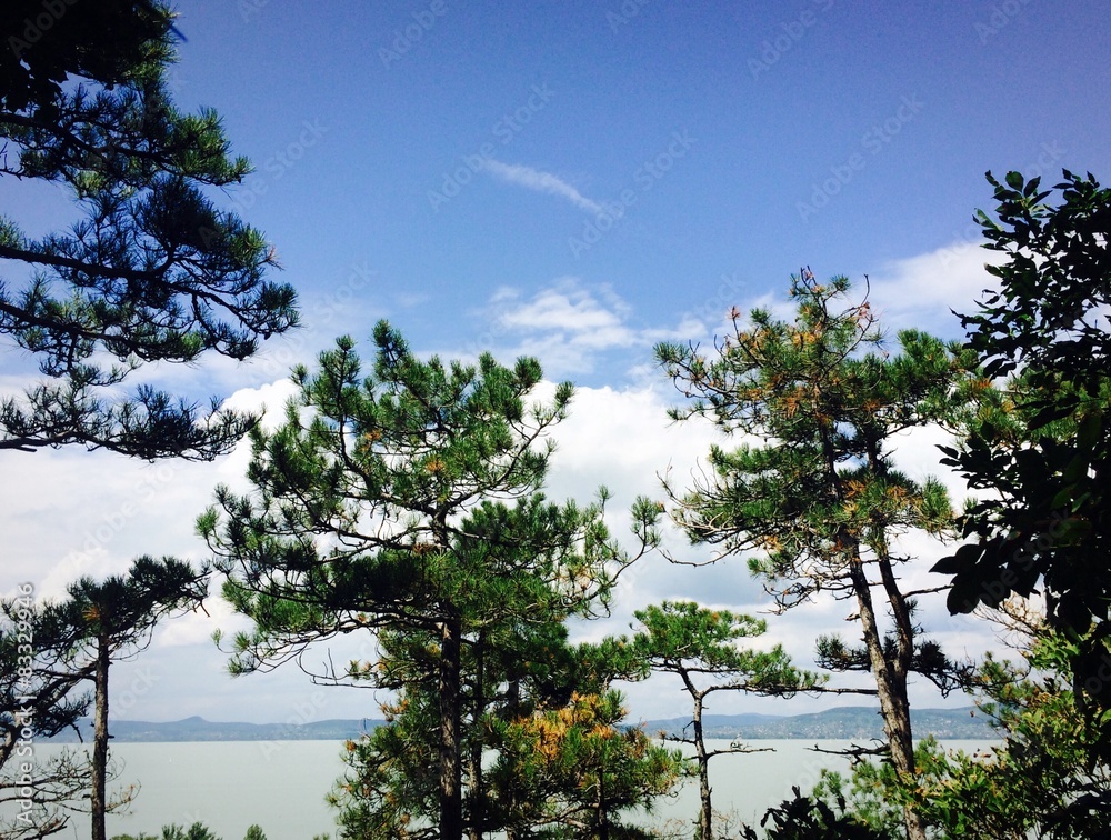 Obraz premium See hinter Bäumen