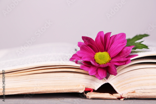Single flower with book on light background  closeup