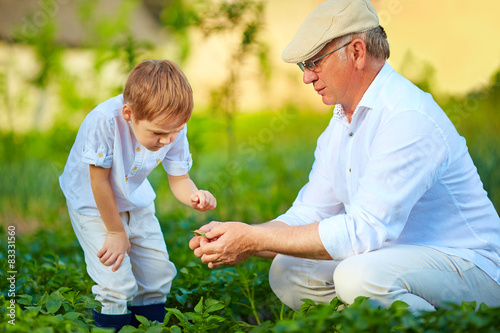grandfather explains grandson the nature of plant growth © Olesia Bilkei