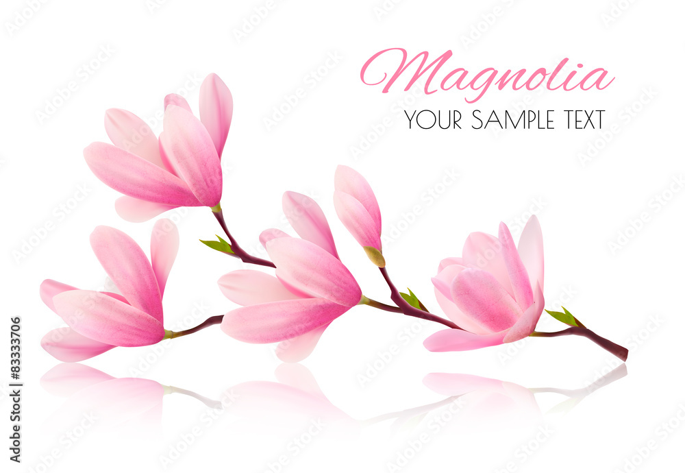 Naklejka premium Flower background with blossom branch of pink magnolia. Vector