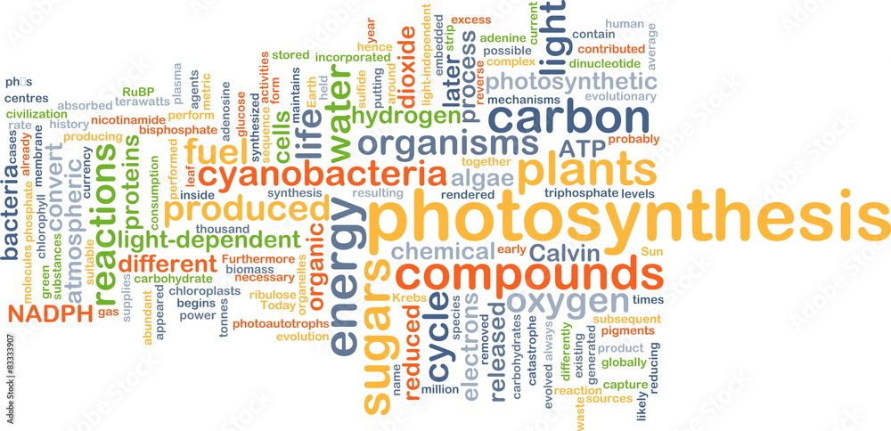 Photosynthesis background concept