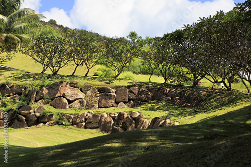 Beautiful golf course at the Constance Lemuria Resort.