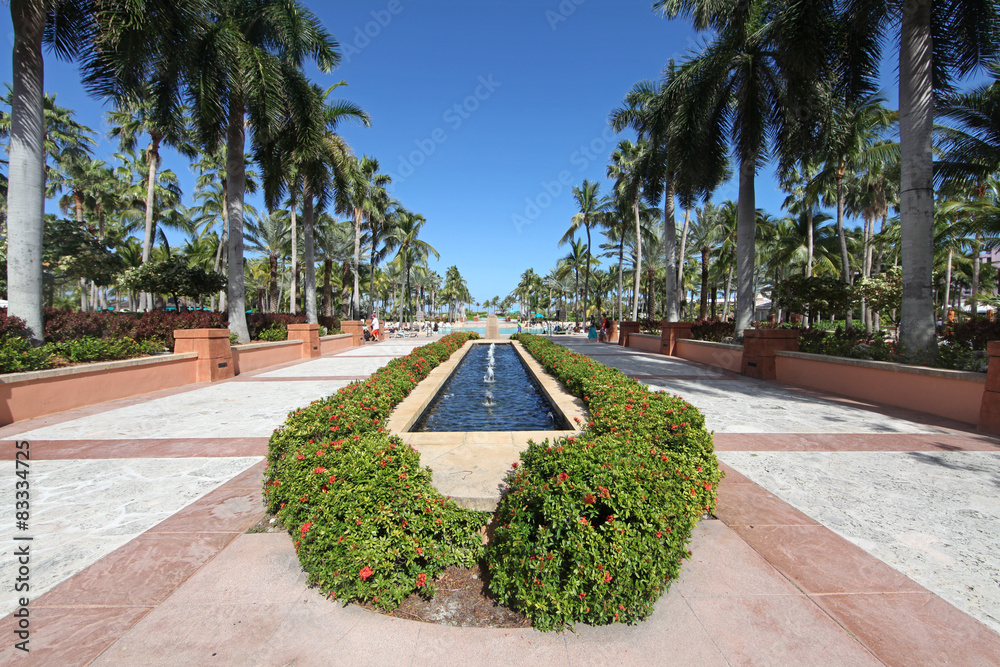 Fototapeta premium Fountain