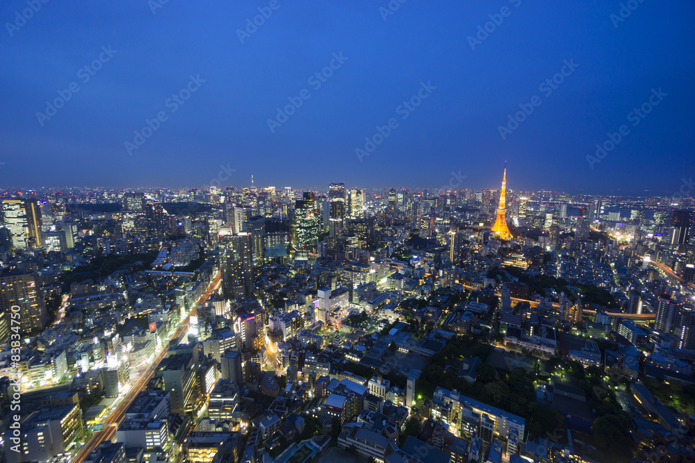 東京都市風景 六本木超高層ビルから望む東京タワーと東京スカイツリーと東京街並全景 夜景 Stock Photo Adobe Stock
