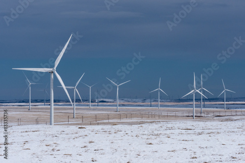 Wind Turbines in Winter Wheat fields