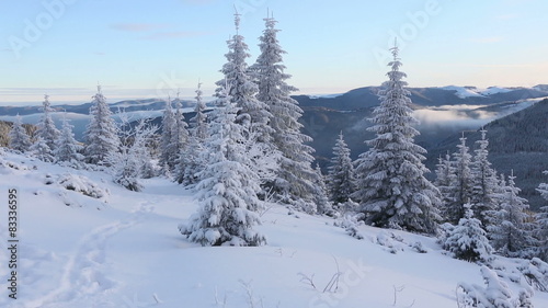 Wallpaper Mural Morning winter mountain landscape (Carpathian, Ukraine).
 Torontodigital.ca