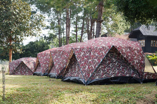 Dome tent camping at Thung Salang Luang National Park Phetchabun photo