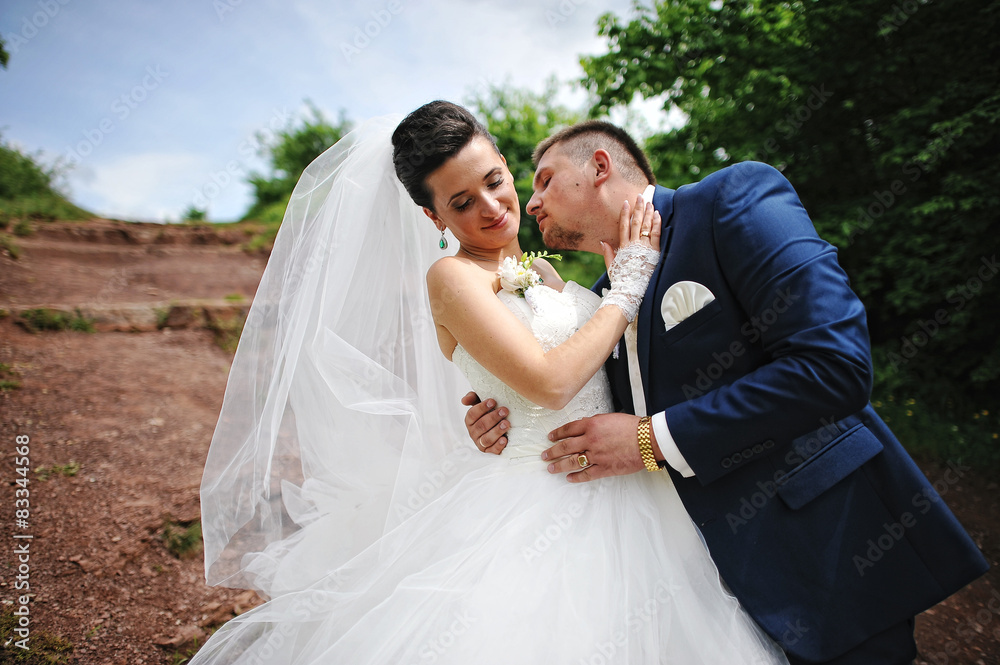 beautiful wedding couple on a red rock